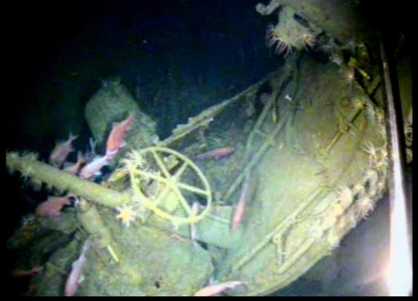 The submarine was found off the Duke of York Island group in Papua New Guinea
