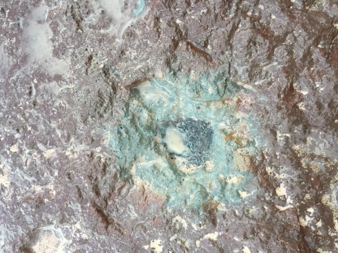 Ost 65 is the black fossil meteorite at the center of this image, embedded in slate in a Swedish quarry
