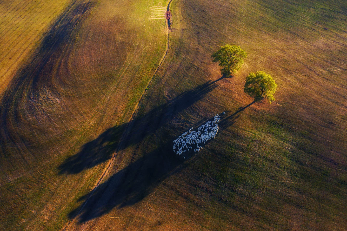 Winner Landscape category. 'Shadow game', Italy