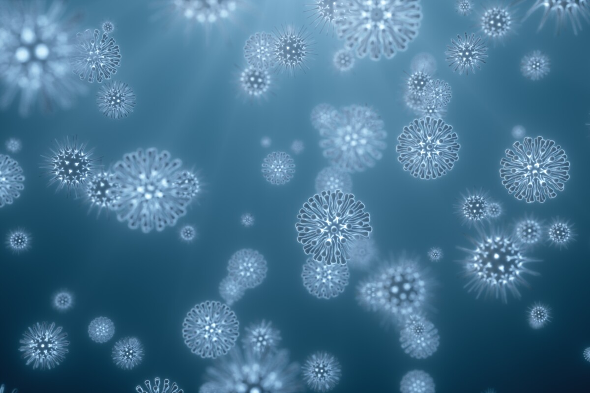 Determining which antibiotics are likely to work against which bacteria could be crucial to tackling the rise of superbugs