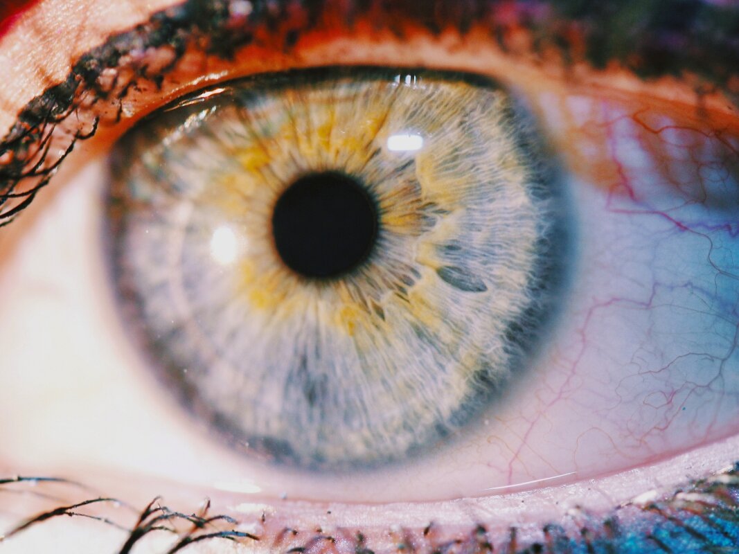 Bright evening light tied to macular degeneration, glaucoma, and cataracts