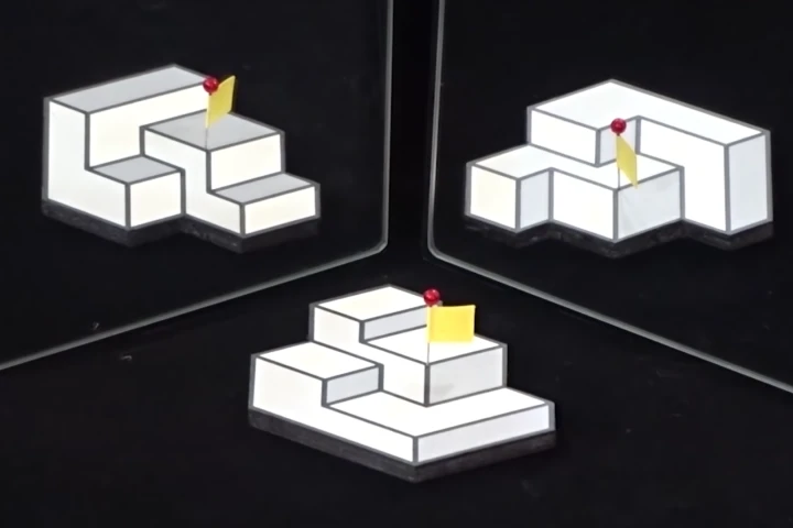 The winning entry in this year's Best Illusion of the Year Contest presents a 2D picture that has three different perceived structures depending on the viewpoint