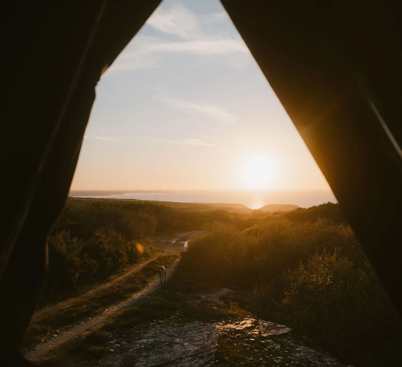 View from inside the new Kudhva Kanvas K-Tent