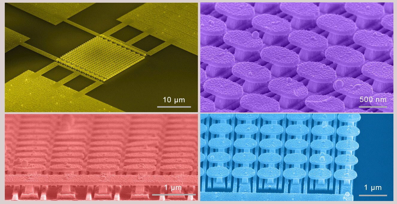 The metasurface created by the UC San Diego team is created from an array of gold mushroom-shaped nanostructures mounted on a matrix of gold strips and built on top of a silicon wafer with a layer of silicon dioxide separating the two levels