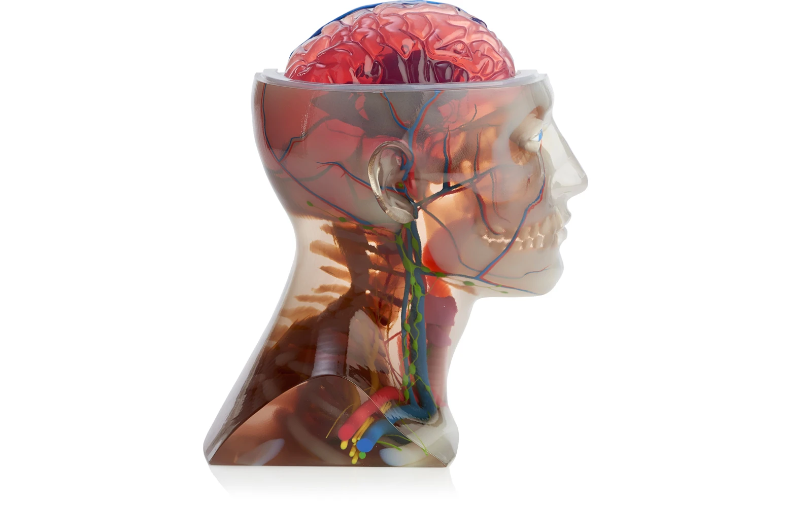 The printer can print materials of various hardness, gradients and even transparencies