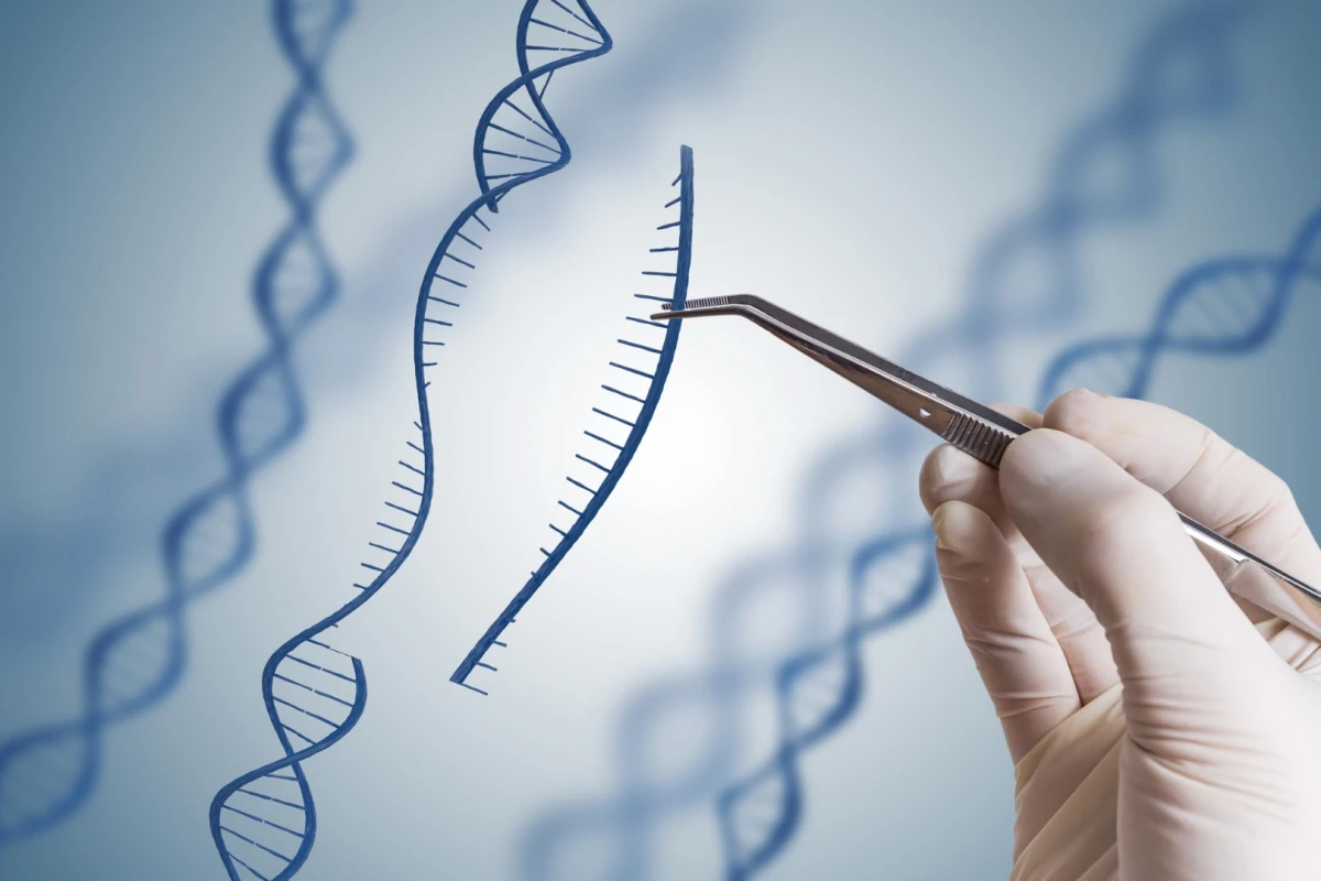 A study published last year suggesting CRISPR gene-editing can cause hundreds of unintended alterations has officially been retracted by the scientific journal Nature Methods