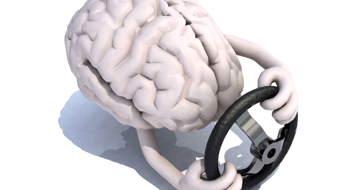 Check Engine Brain Picture Brain's