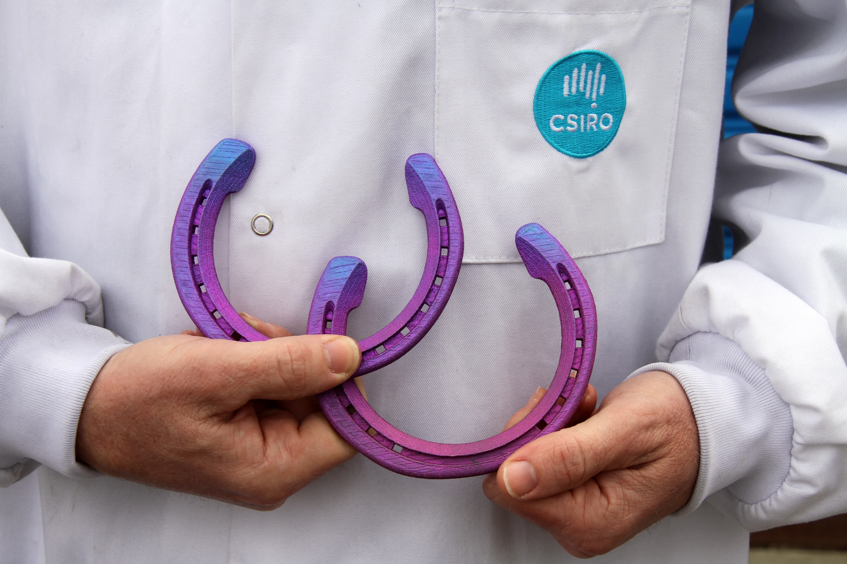 The horseshoes were based on a digital scan of the horse's hooves