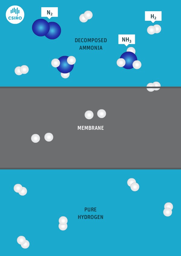 Diagram of the CSIRO process