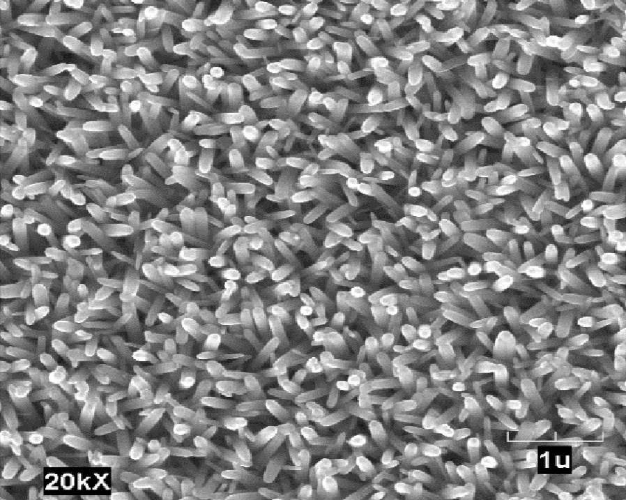 Zinc oxide structure
