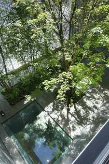 The first floor garden and facade are positioned to maximize sunlight from the east and provide a visual link to the city (Image: Hiroshi Nakamura & NAP)