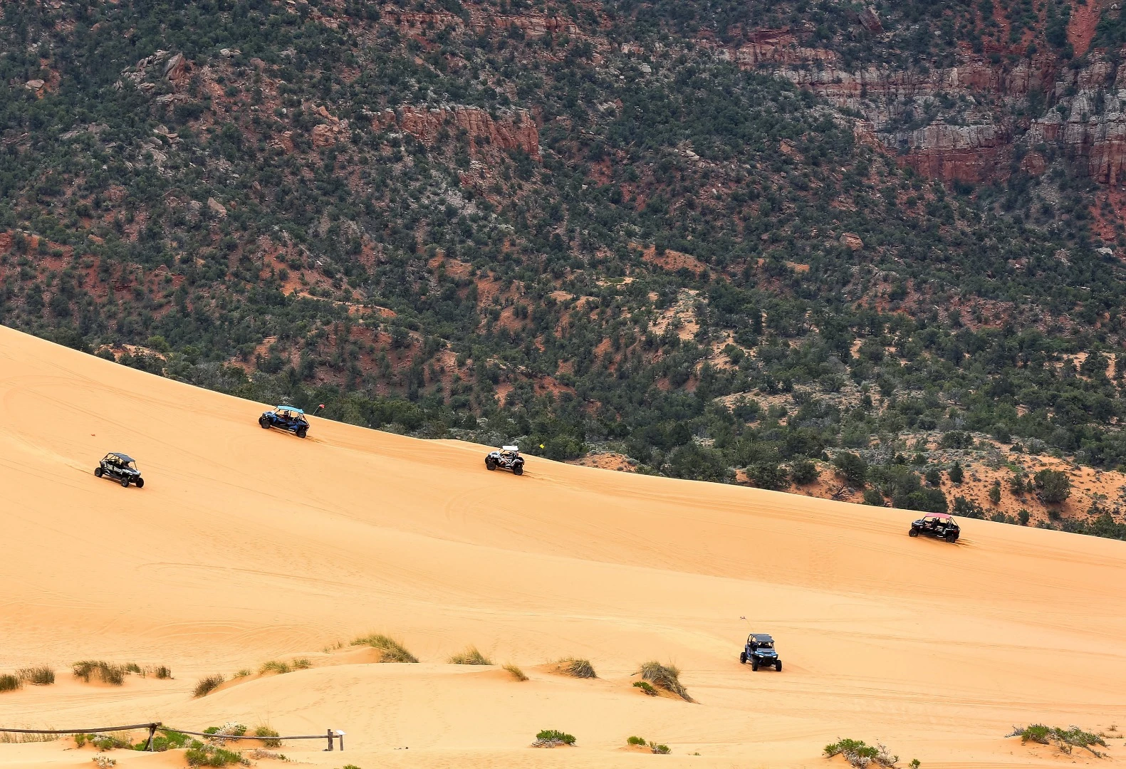 ATVs can go buck wild out on the sand in the Coral Pink Sand Dunes recreation area