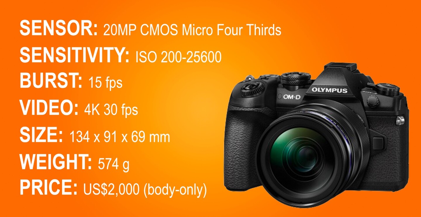 The key specifications of the Olympus OM-D E-M1 Mark II mirrorless camera