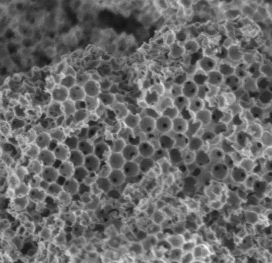 A closeup view of the micron-sized sponge