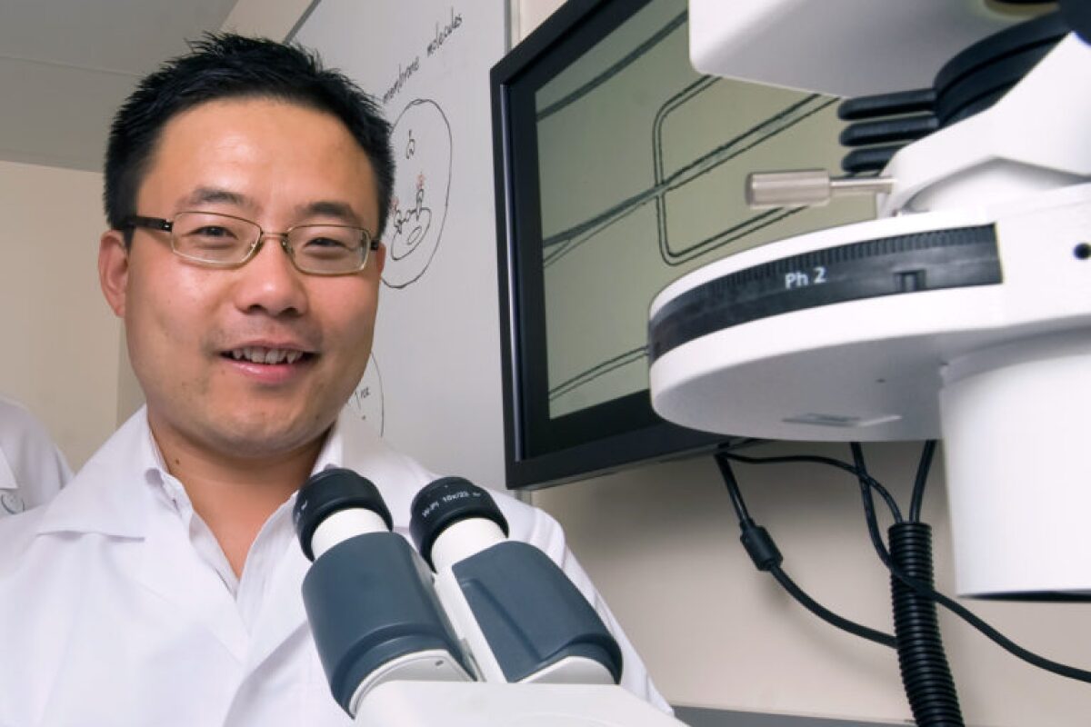 UCI's Weian Zhao and his team have developed a new technology that promises to greatly accelerate a form of targeted cancer treatment