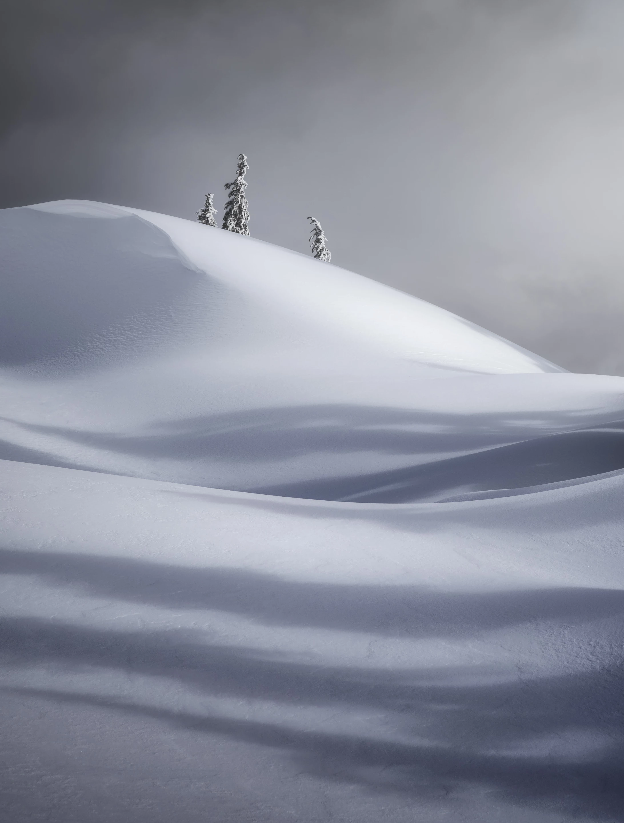 Top 100. The Outcasts. Mount Seymour, British Columbia, Canada