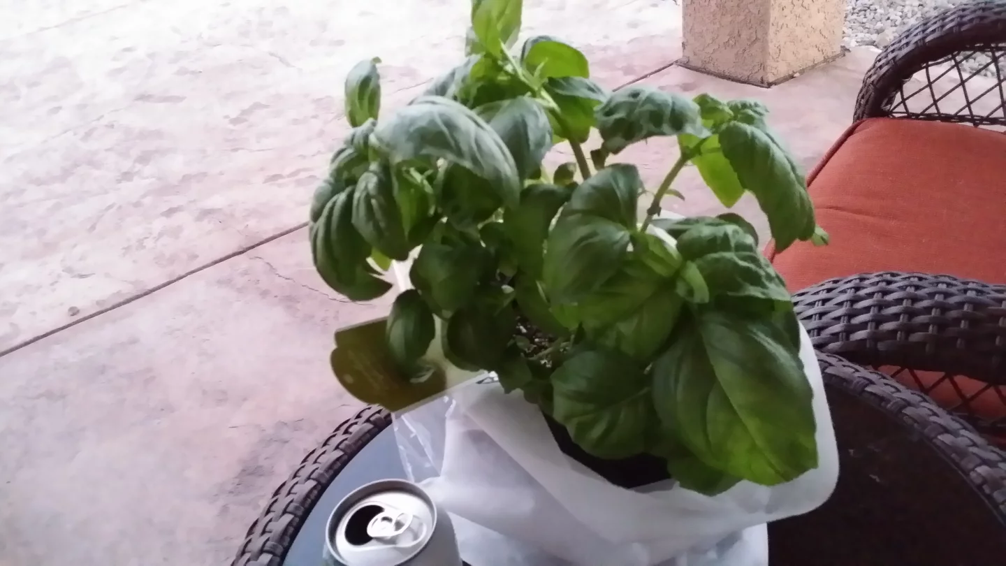 Another lower-light shot