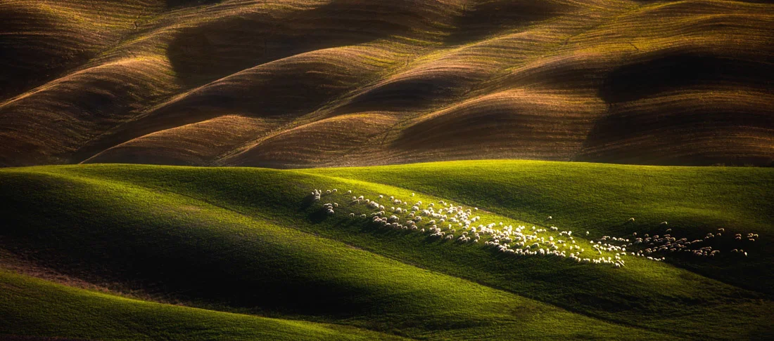 Here are some of our favorite shortlisted photographs in the Open - Nature / Landscape category