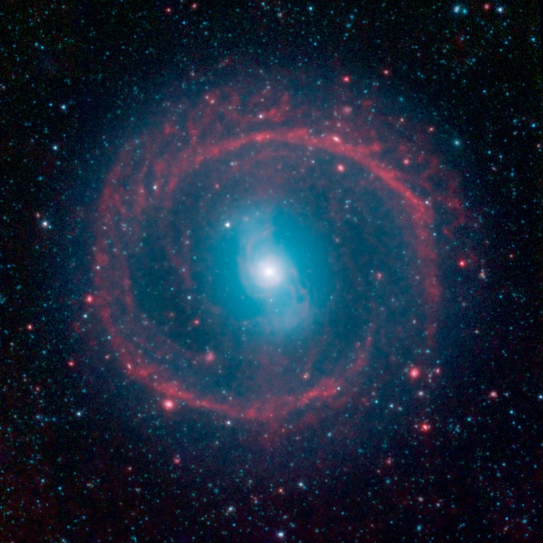 From NASA's Spitzer Space Telescope, taken in infrared light, shows where the action is taking place in galaxy NGC 1291. The outer ring, colored red in this view, is filled with new stars that are igniting and heating up dust that glows with infrared light