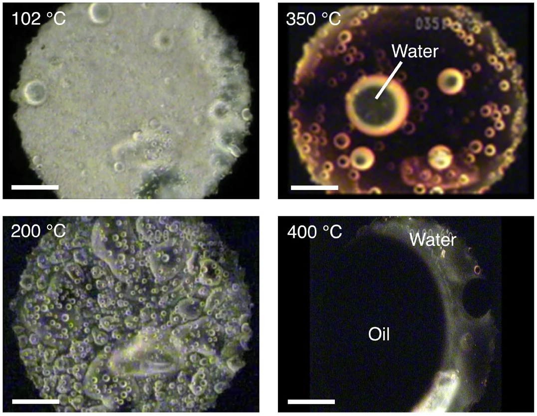 The state of water and oil production in the organic matter analog at different temperatures