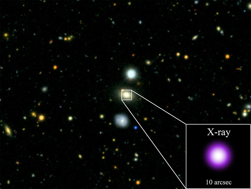 A combined X-ray and optical view of AT2018fyk