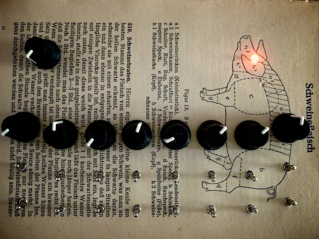 The front panel is screwed to the PCB with countersunk holes, so the page overlay appears perfectly flat (Photo: copyright Gwydion ap Dafydd)