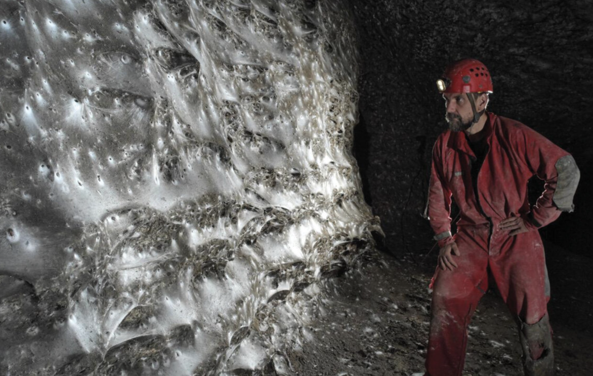 World’s largest web houses 110,000 spiders thriving in total darkness