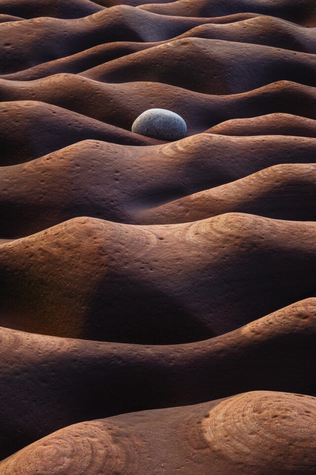 An image from the Photographer of the Year's winning portfolio