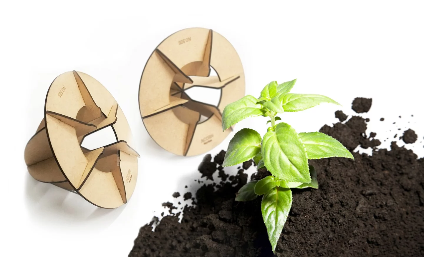 Acorn is an entirely biodegradeable base made from raw materials gathered from crop waste, fashioned into frames to raise plants in the desert