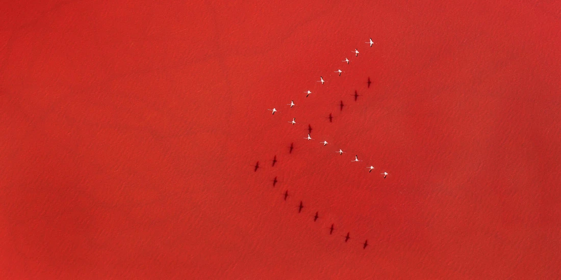 Here are some of our favorite shortlisted photographs in the Open - Nature / Landscape category