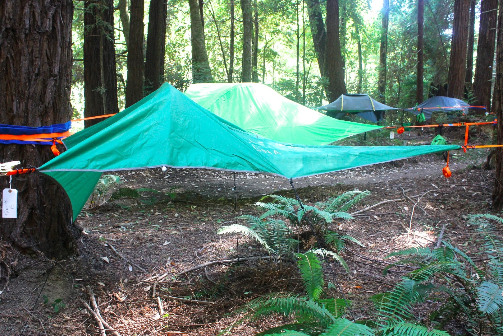 We walked through the Tentsile village to find our assigned tent