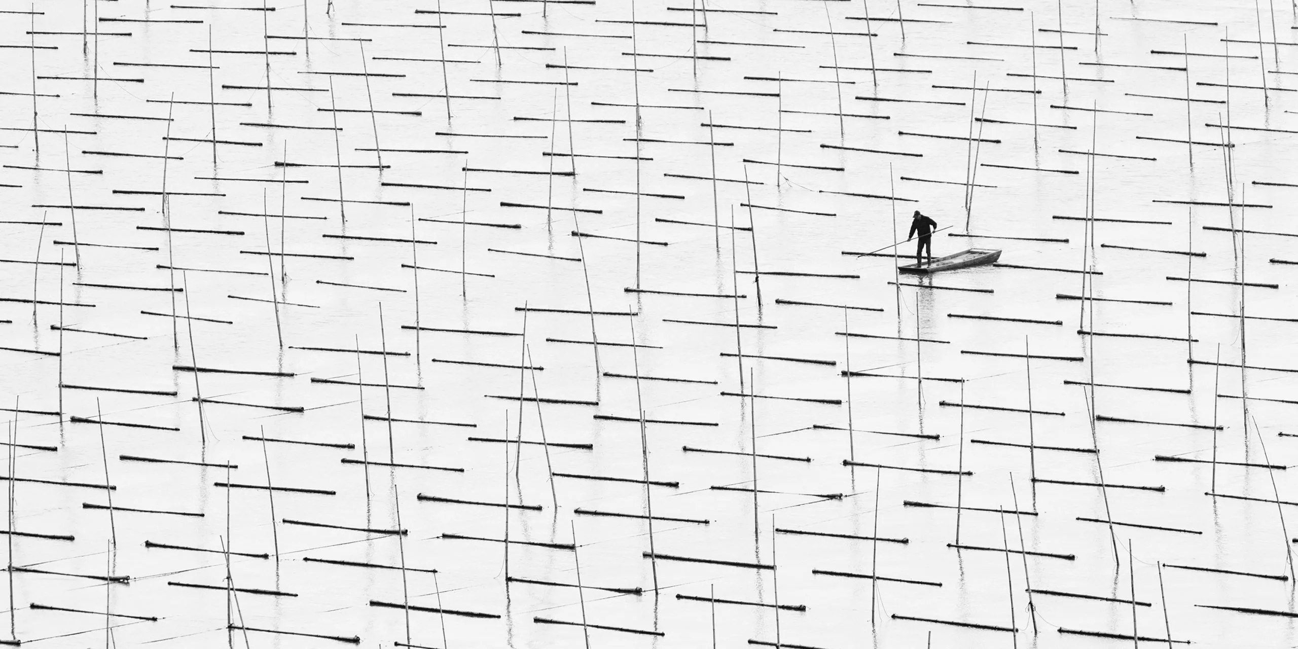 Highlight from the top 50 in Open Built Environment / Architecture