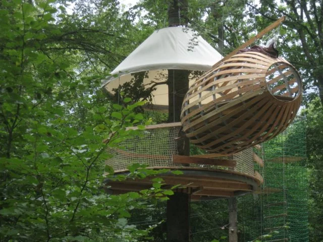 Spend some time with the birds and squirrels