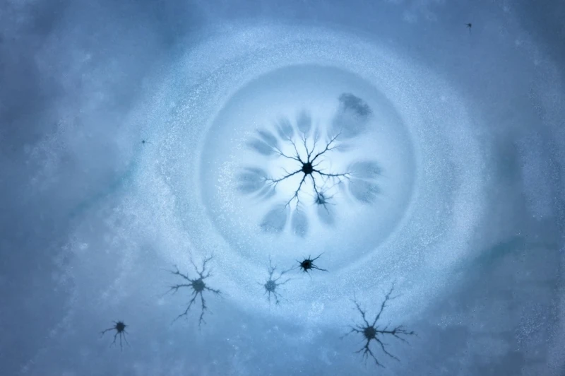Winter Eye: Commended in the Abstract category