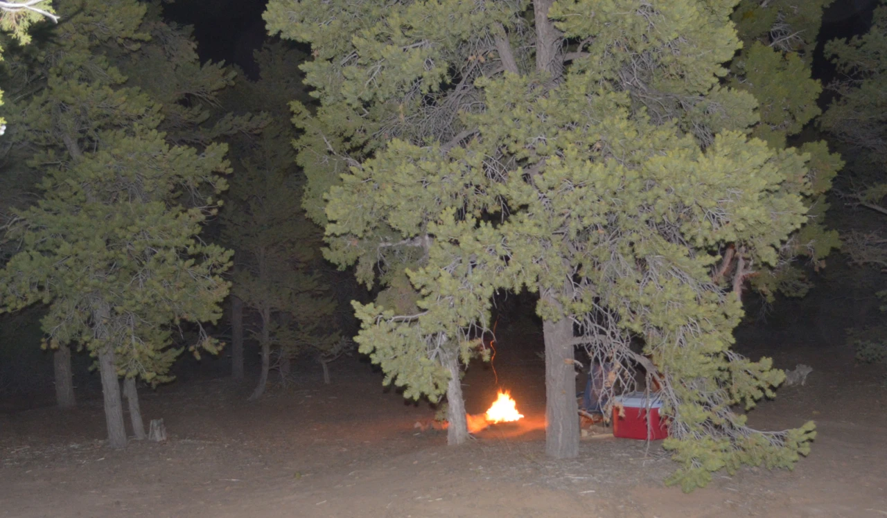 Campfire, Night 1