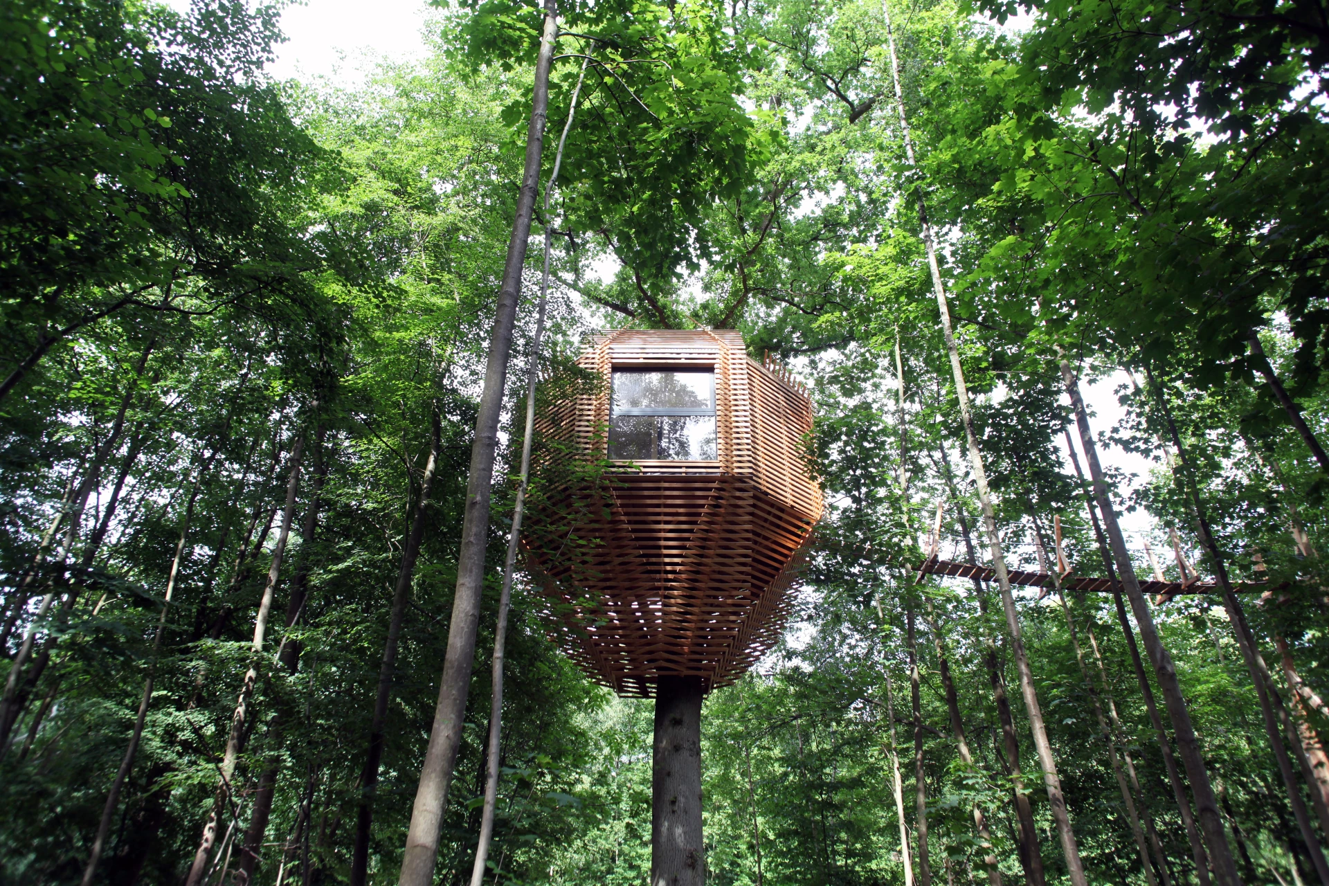 Geometric treehouse packs unexpected treetop luxury