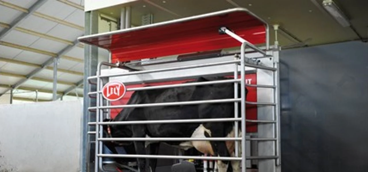 The cow decides when it is time to be milked