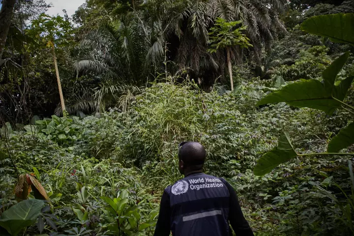 The World Health Organization investigating an outbreak of Ebola in North Kivu in the Democratic Republic of the Congo