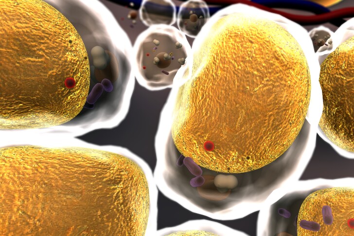 An enzyme has emerged as a potential new drug target to prevent fat buildup in the body