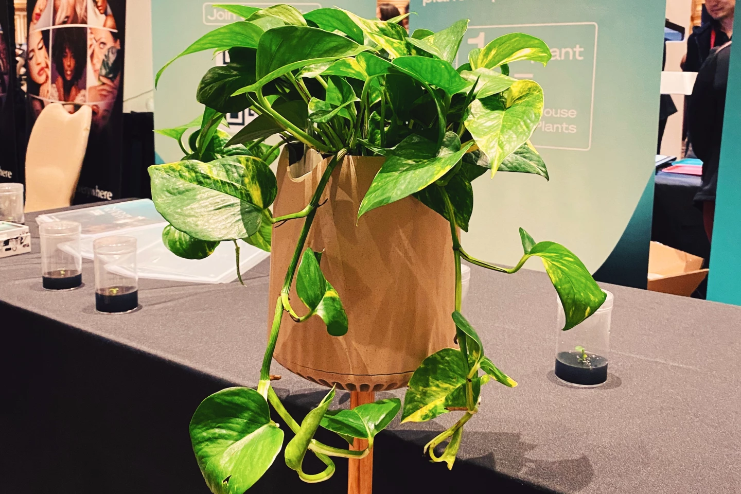 The Neo P1's pot is made of polylactic acid (PLA), a biodegradable bioplastic