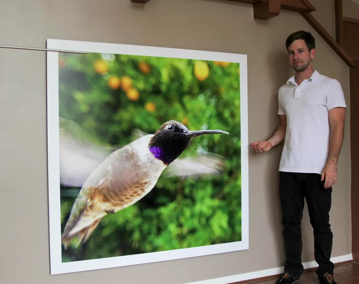 Bryson Lovett has created Bird Photo Booth, which uses remotely controlled smartphones to video and photograph birds
