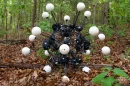 Instead of having a symmetrical body, the Argus robot takes a symmetrical approach to locomotion