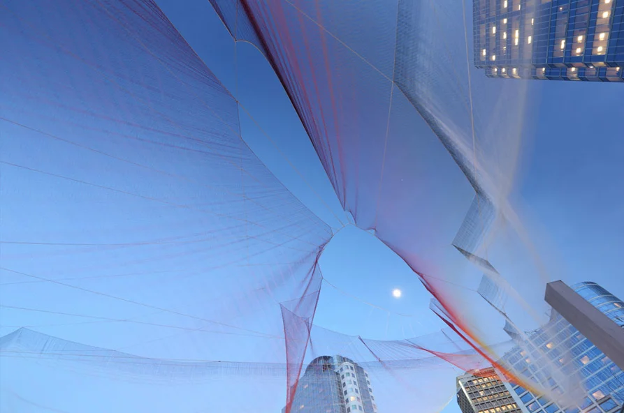 The net is made from Honeywell Spectra fiber