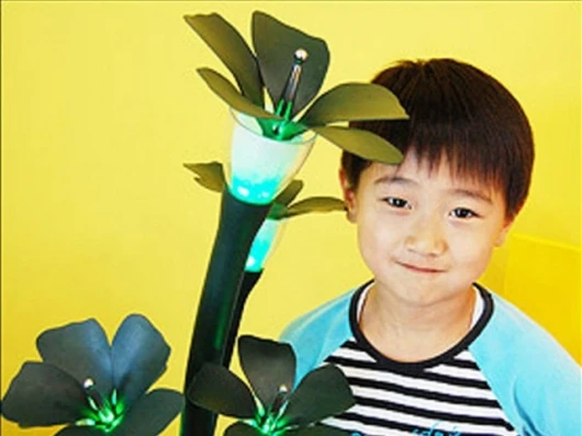The robot plant