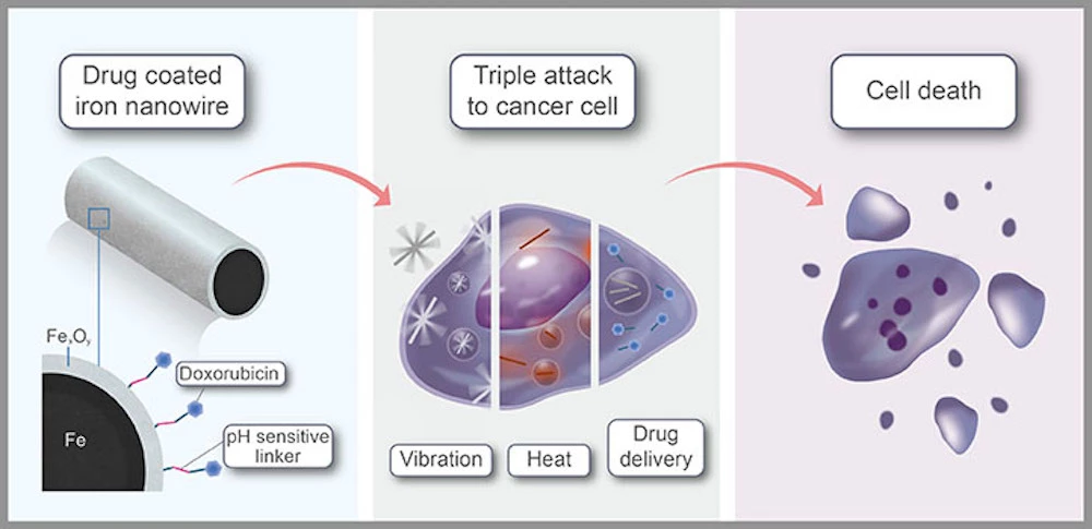 A diagram explaining how the iron nanowires work to kill cancer cells