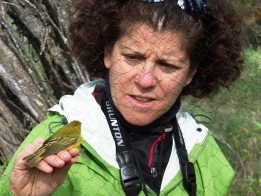 Earthwatch's "Songbirds of the Tetons" expedition (Photo: Heather Pruiksma)