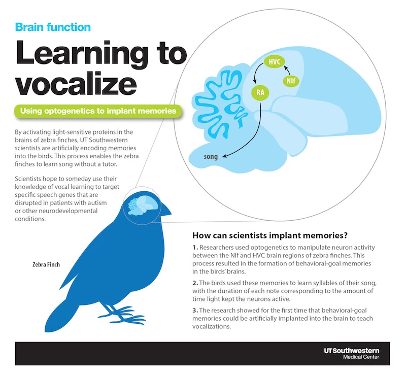 An infographic explaining how the study worked