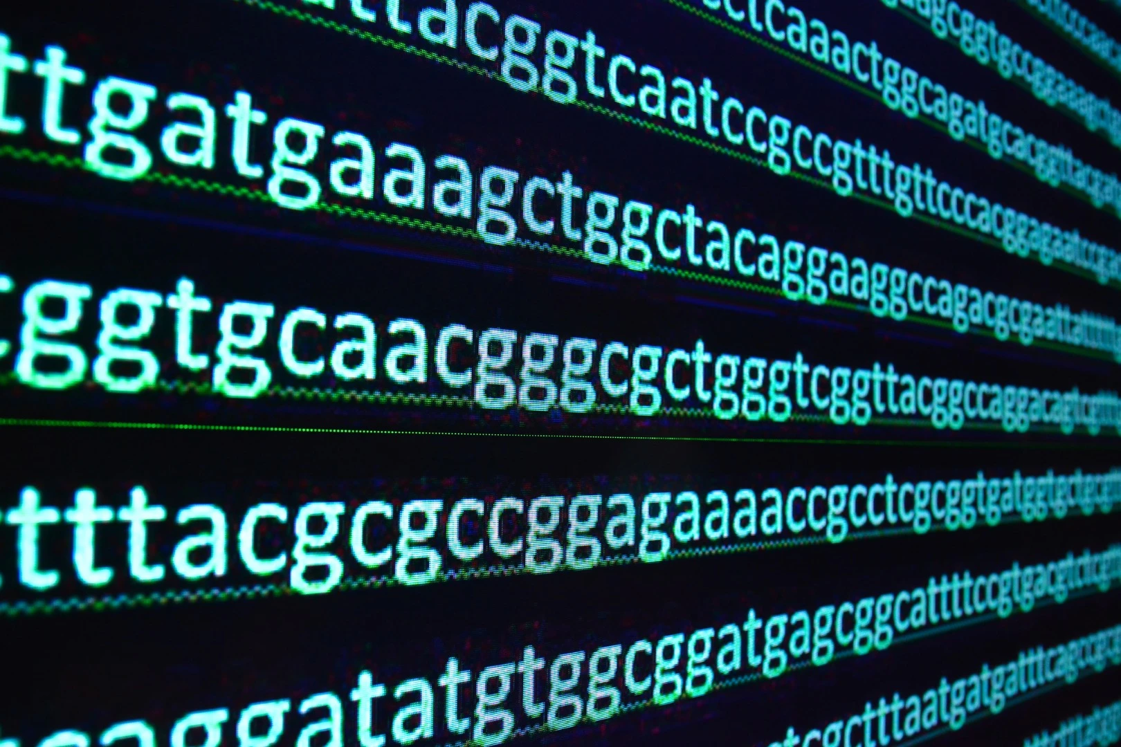 Researchers have discovered a species of yeast that breaks a "universal rule" of DNA