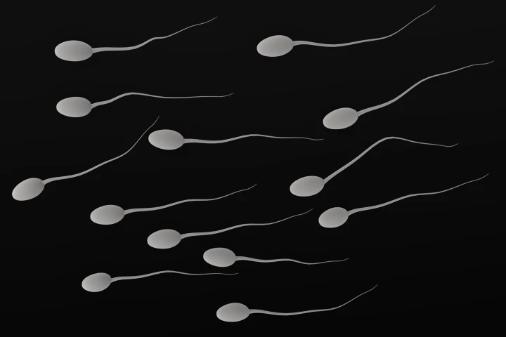 Sperm can't do their job until the semen in which they're carried liquifies – the contraceptive would keep that liquefaction from happening
