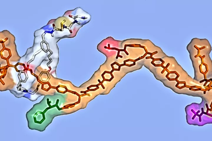 Molecular assembler synthesized by Prof. Leigh of the University of Manchester and his group